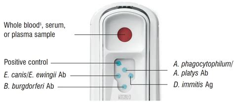 Frequently asked questions about SNAP 4Dx Plus Test.